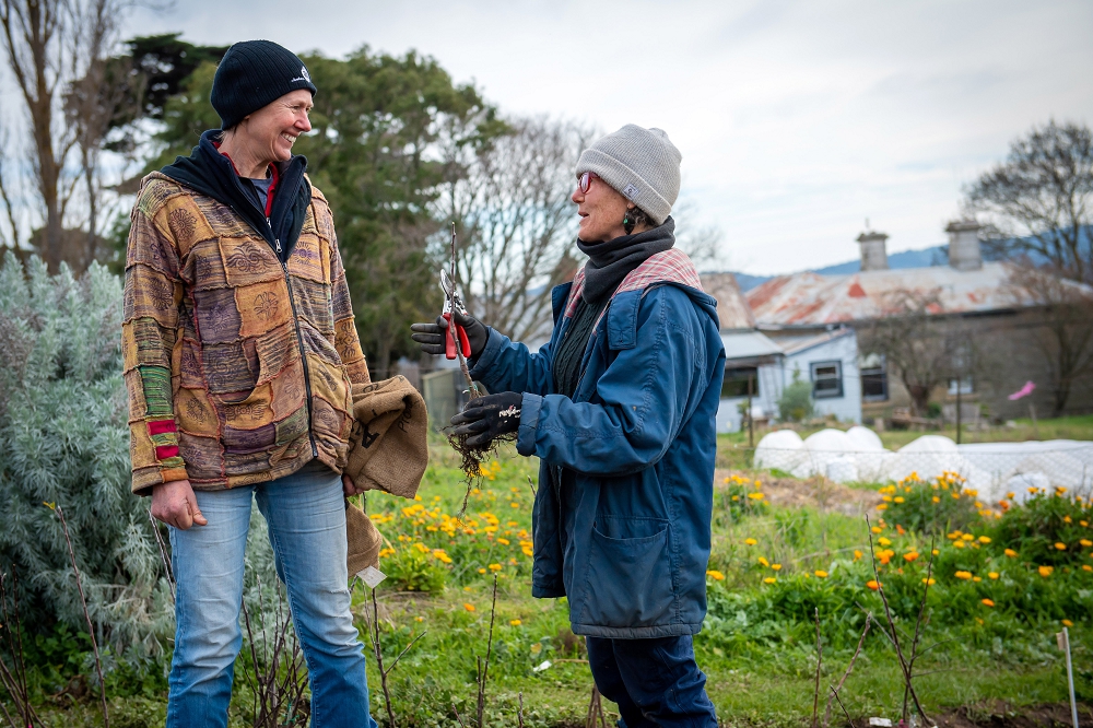 Grow Great Fruit member Julie collecting her trees from the Nursery  (Photo: Brendan McCarthy)