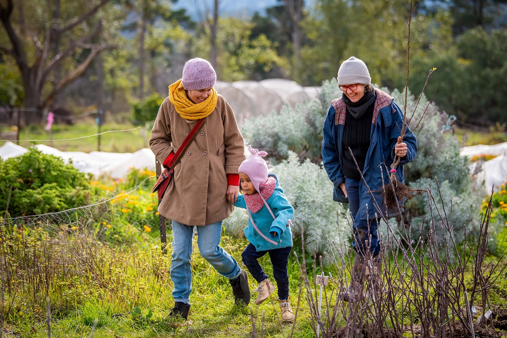 Skipping with excitement about buying a new fruit tree.  (Photo: Brendan McCarthy)