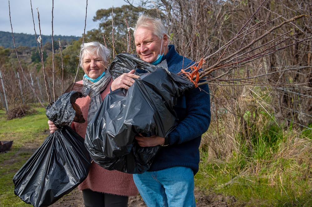 Heading home with bags of new trees to plant in the garden.  (Photo: Brendan McCarthy)