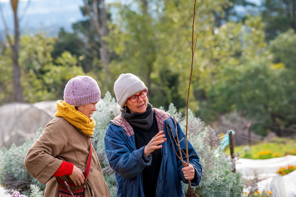 Katie explaining how to prune a young tree (Photo: Brendan McCarthy)