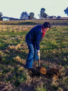 Katie digging a hole to plant a fruit tree
