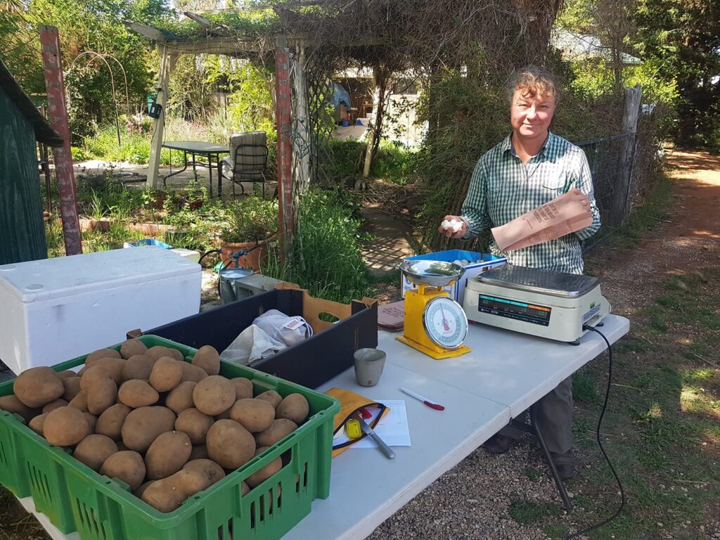 Small-scale organic farmer Penny Kothe at her farm shop