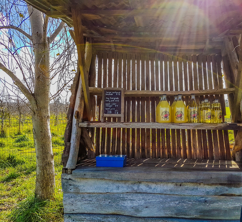 The farm stall at Kalangadoo Organics, where customers can self-serve fresh-pressed apple juice.