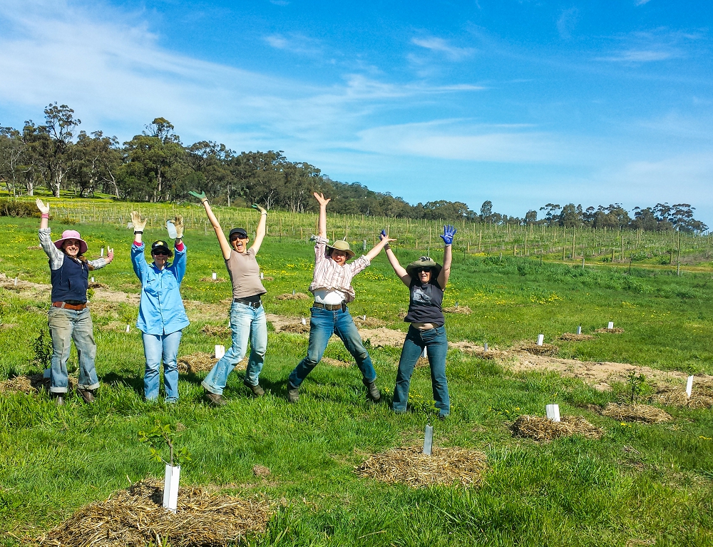 The team at one of the farm "hands-on" workshop days, learning how to mulch baby fruit trees