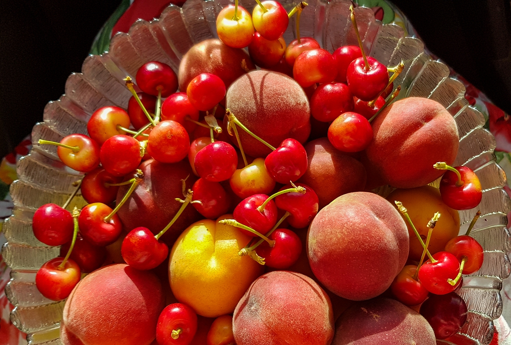 A bowl of home-picked fruit