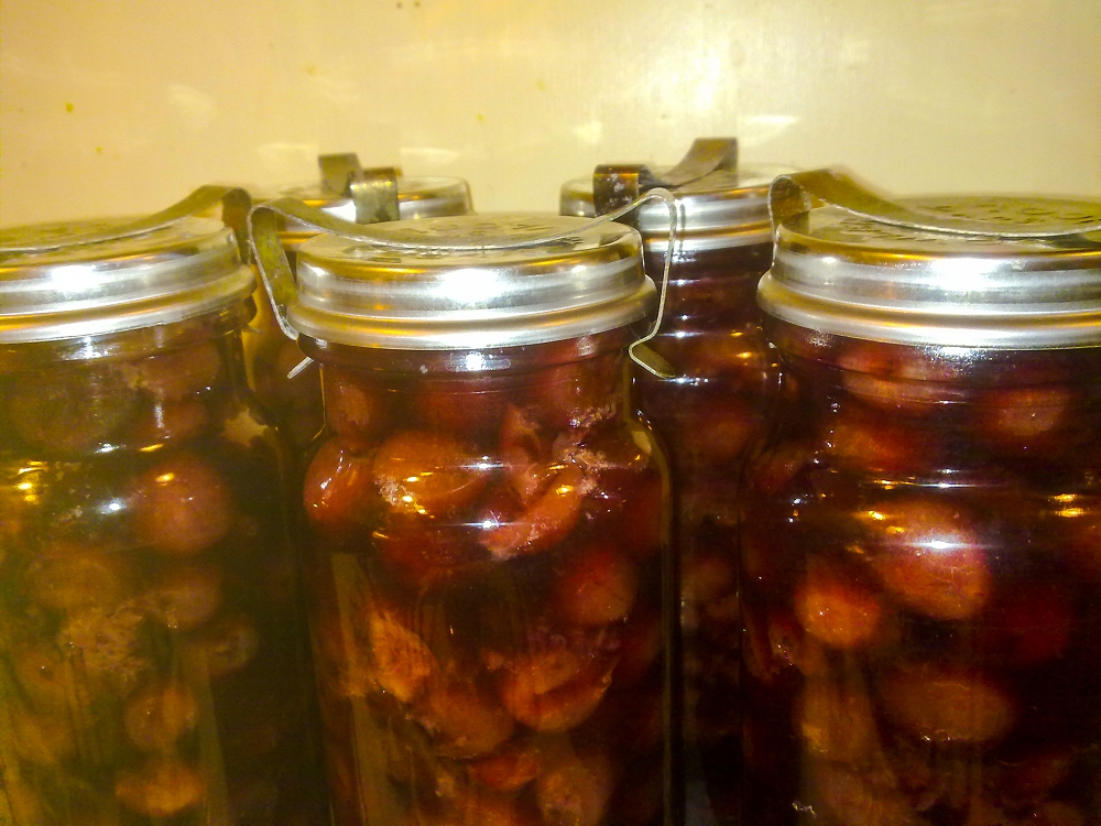 Bottled cherries with star anise, cinammon, and cloves