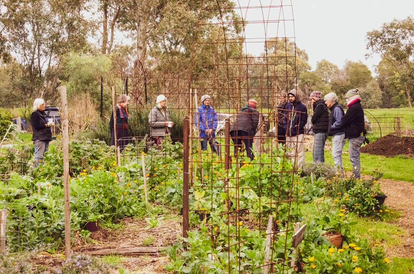 Pruning workshop at Newstead Community Garden (photo: Janet Barker)