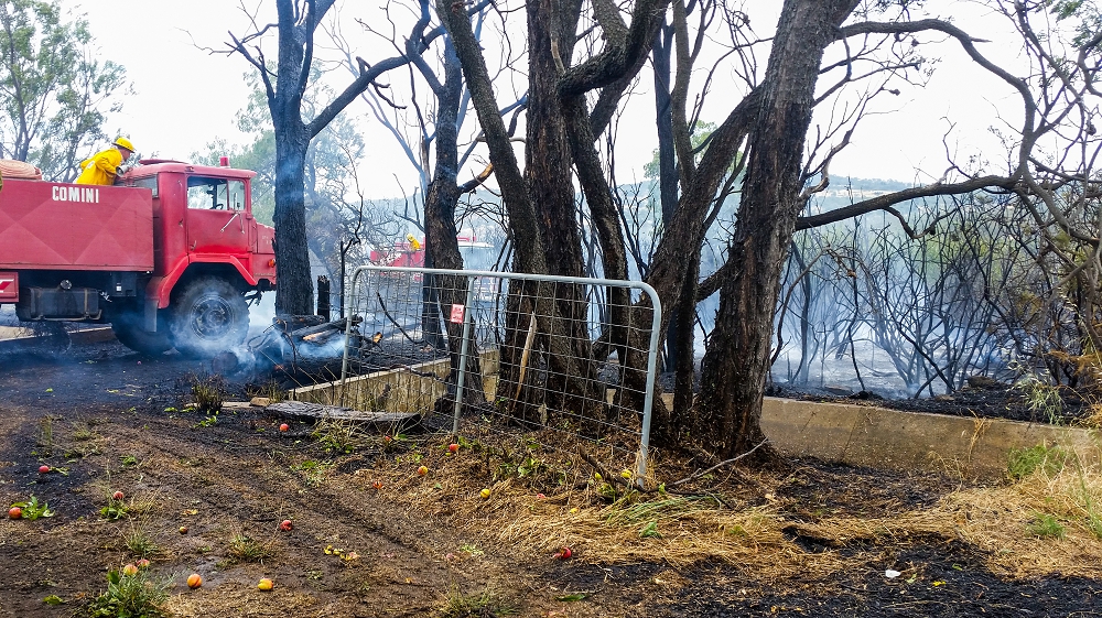A red fire truck and fire people in yellow costumes putting out the remnants of the bushfire. Smoke is still coming from the grass and the trees are blackened.