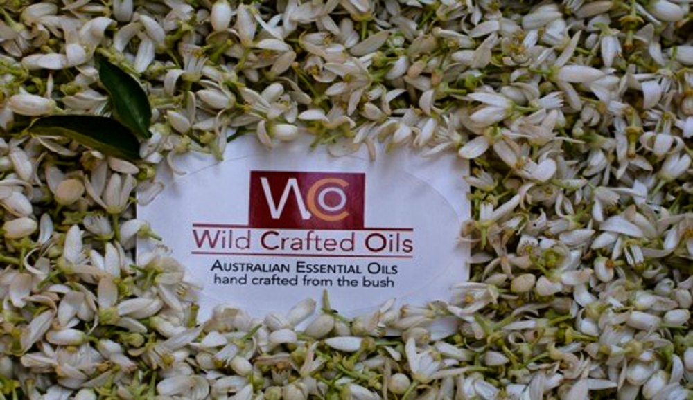 Wild Crafted Oils label surrounded by orange blossoms