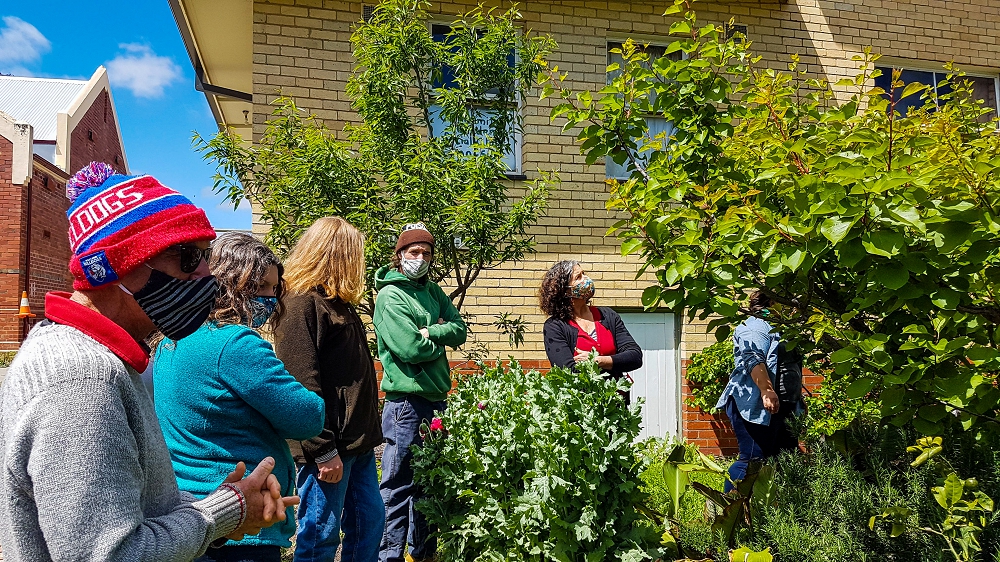 How fruit trees reduce stress: Katie and a group of community gardeners inspecting an apricot tree. Photo credit: Nicole Porter
