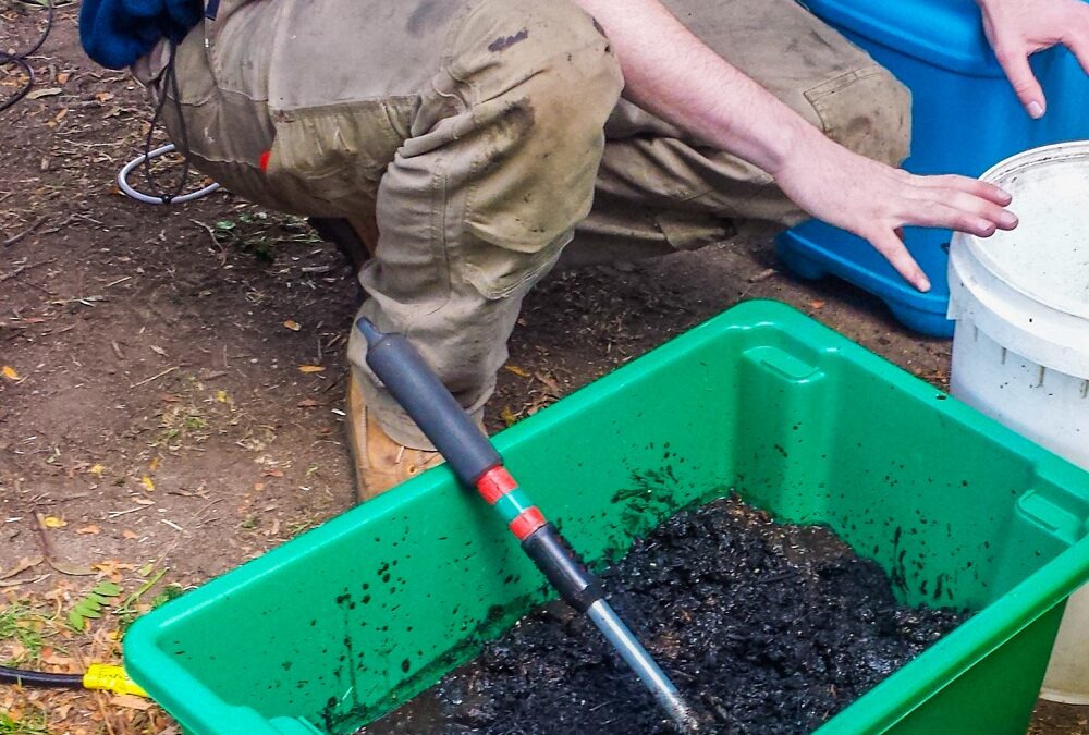 Can you use biochar with fruit trees?
