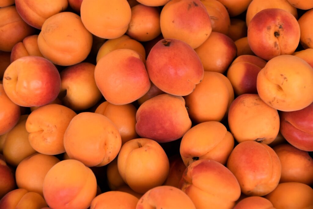Divinity apricots are well-named for their beauty