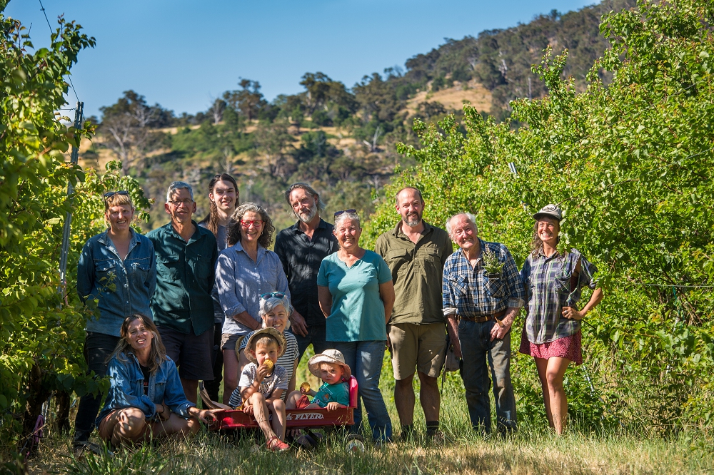 Members of the Harcourt Organic Farming Co-op in the orchard