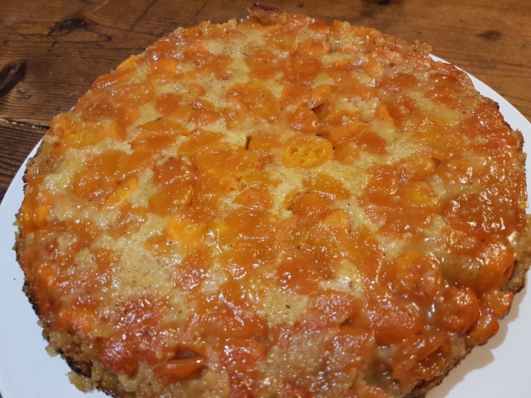 Delicious cumquat almond cake, made with home-grown almond meal
