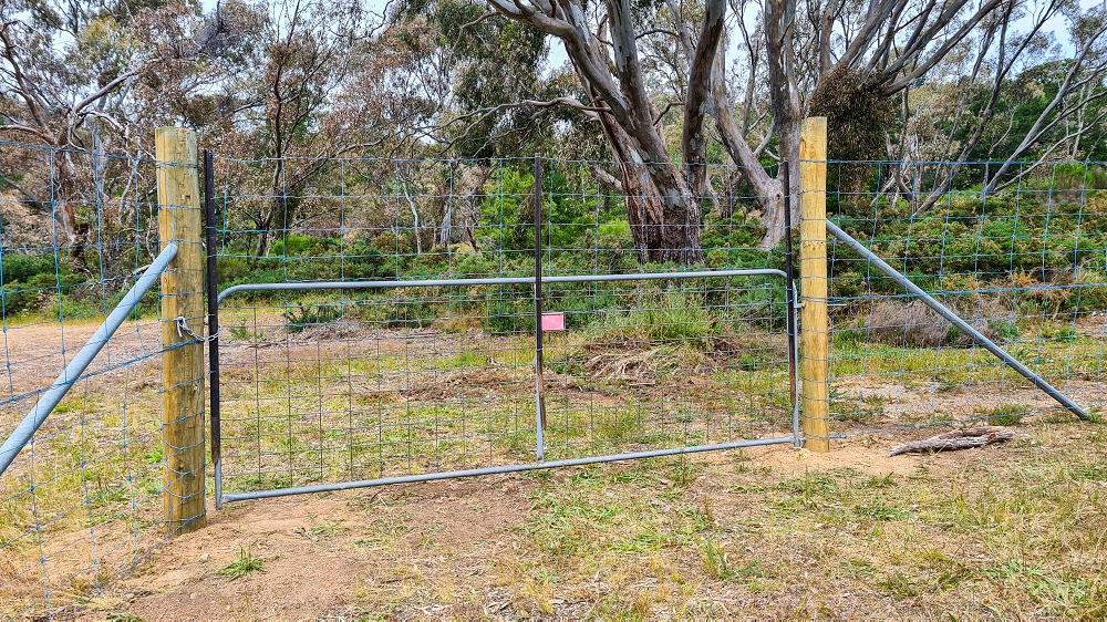 Kangaroo fencing at our place