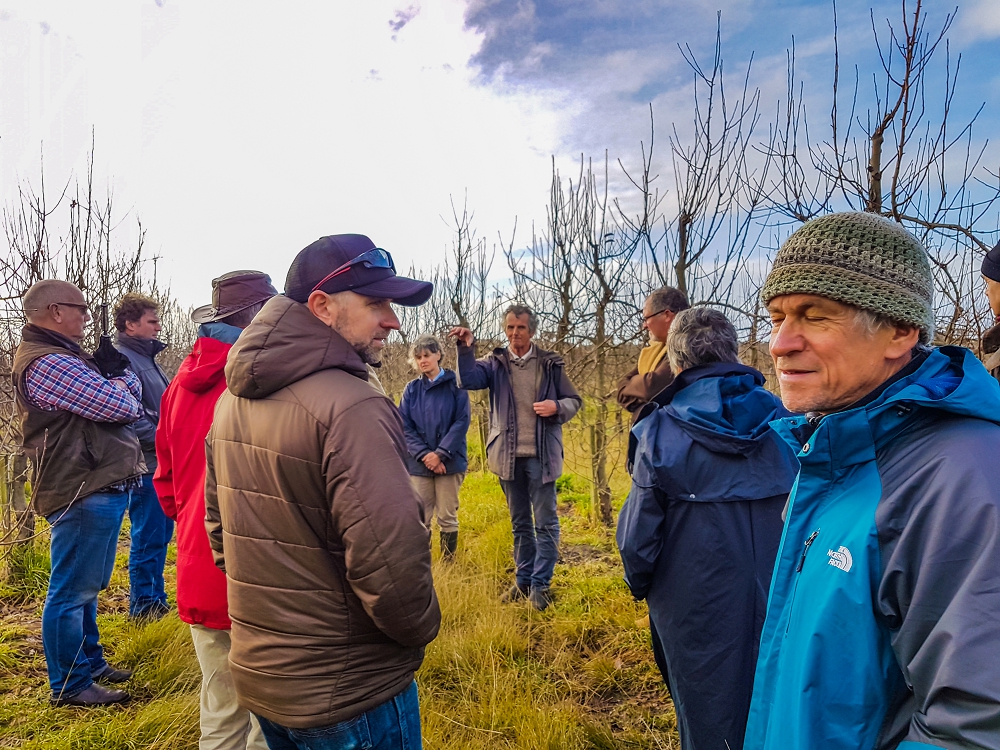 A conference field trip to an organic apple orchard in South Australia
