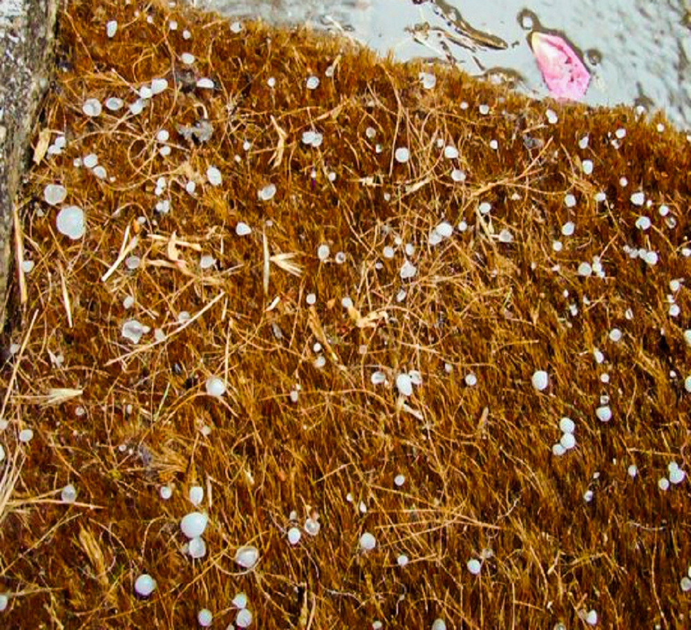 Hailstones on the doormat