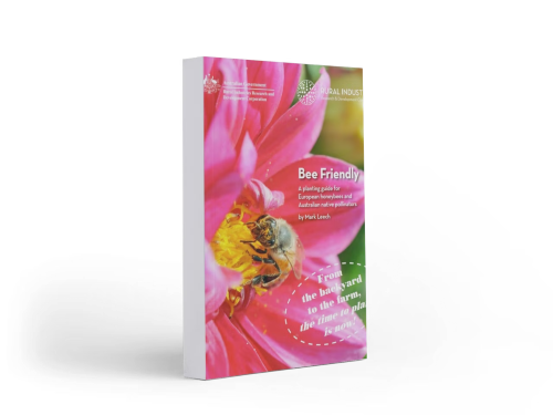 bee-friendly-500x375