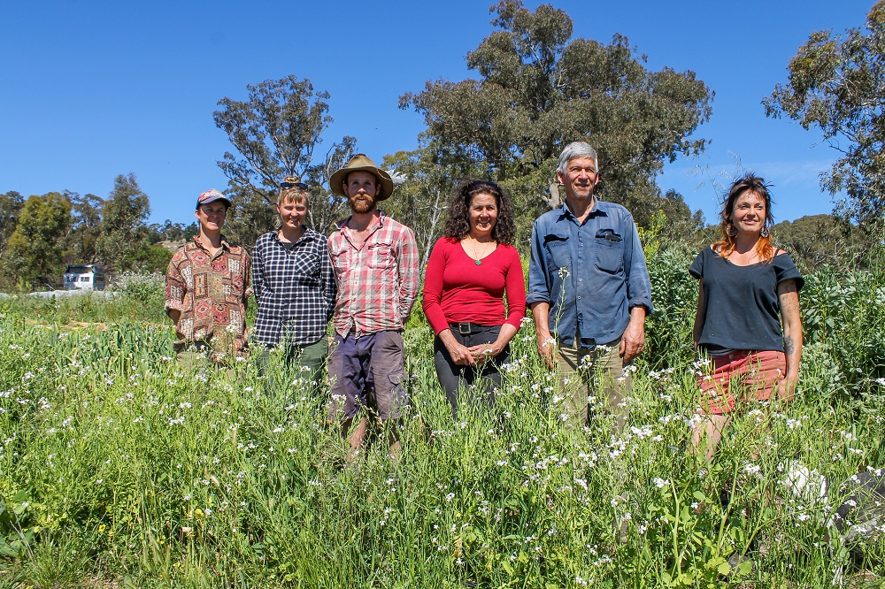 Some of the original farmers in the Harcourt Organic Farming Co-op