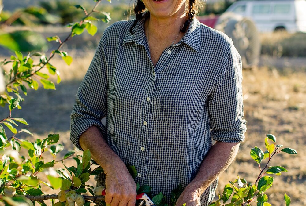 Fruit tree summer pruning pros and cons