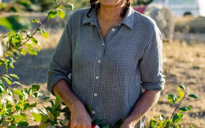 Fruit tree summer pruning pros and cons