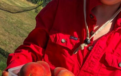 Fostering a love for fruit growing in kids