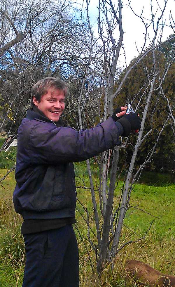 beppe-pruning crop low qual-600x982