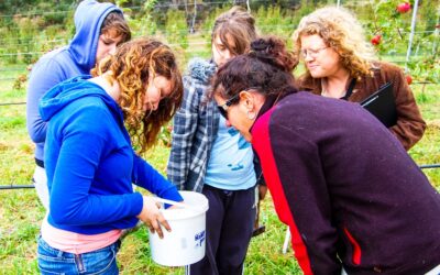 What is permaculture and why does it matter to fruit growers?