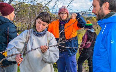 How can you get support for a community orchard?