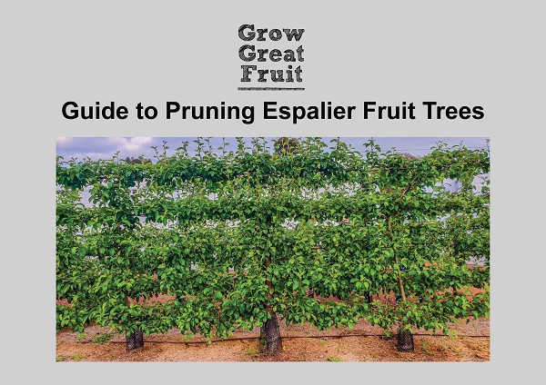 Esp[alier guide cover
