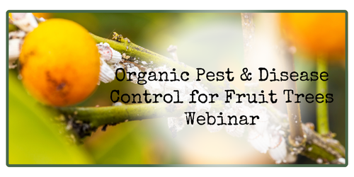 Organic Pest & Disease control for fruit trees webinar