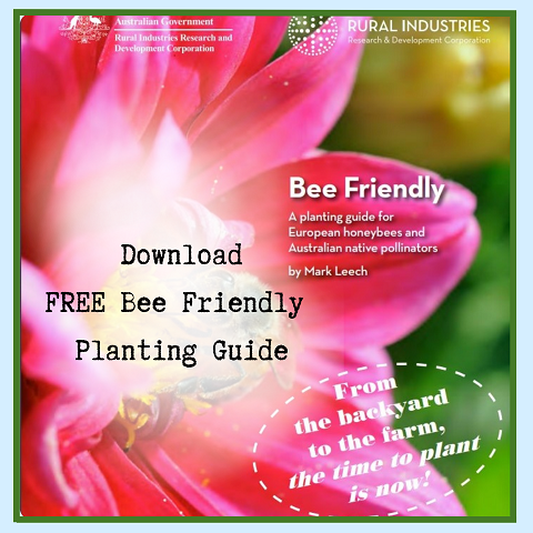 A close up of a flower with vivid pink petals in front of a blurred green background. Superimposed over the flower are the words Download FREE Bee Friendly Planting Guide