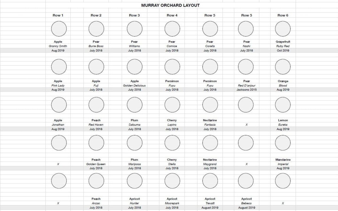 Murray orchard layout – Grow Great Fruit